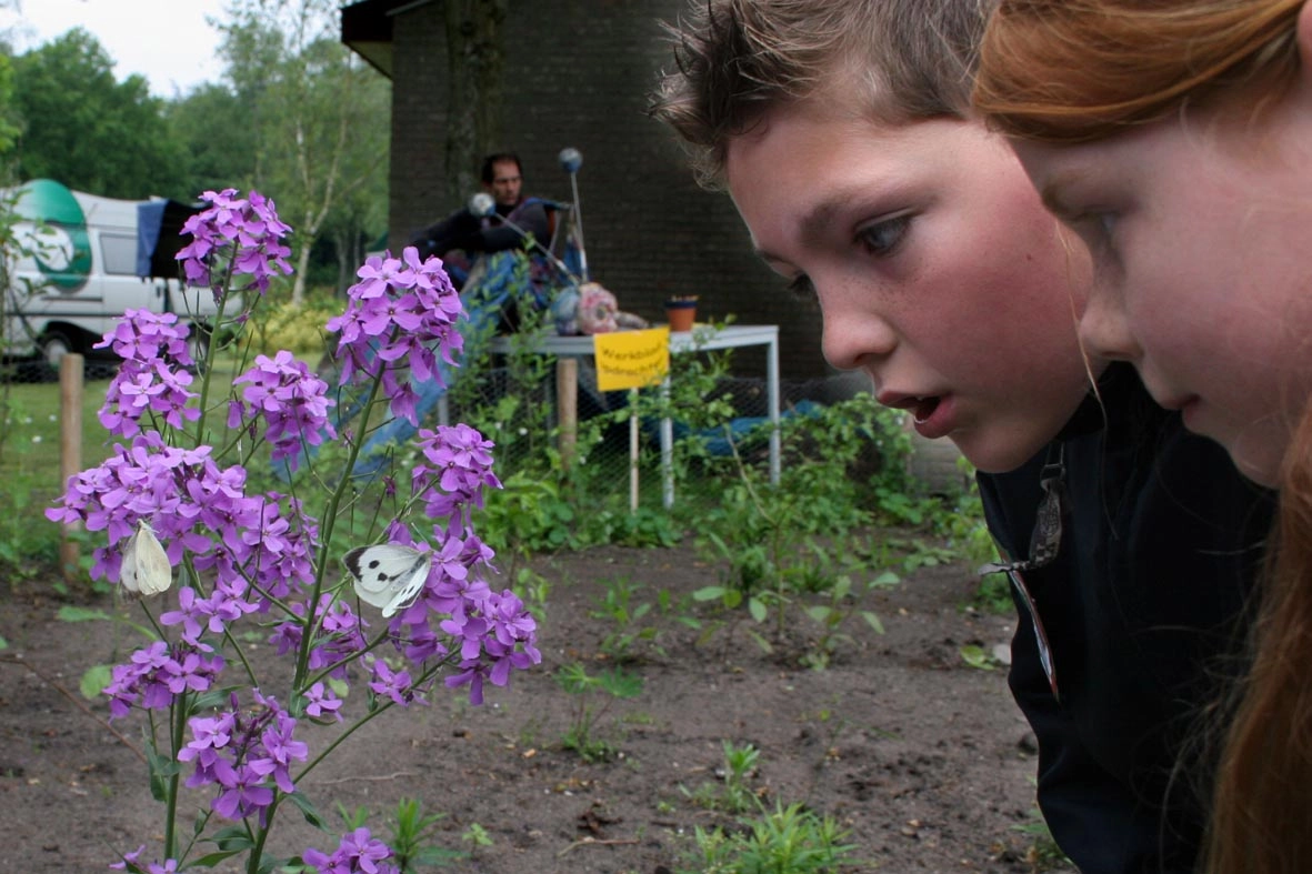 kinderen kijken naar vlinder Jasper6721.jpg